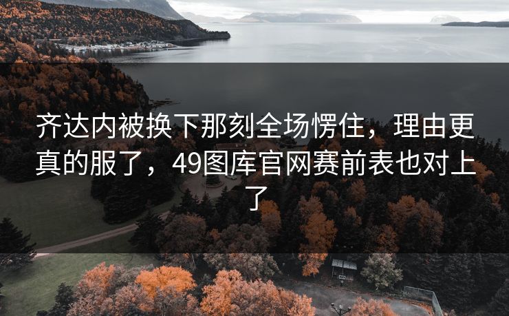 齐达内被换下那刻全场愣住，理由更真的服了，49图库官网赛前表也对上了