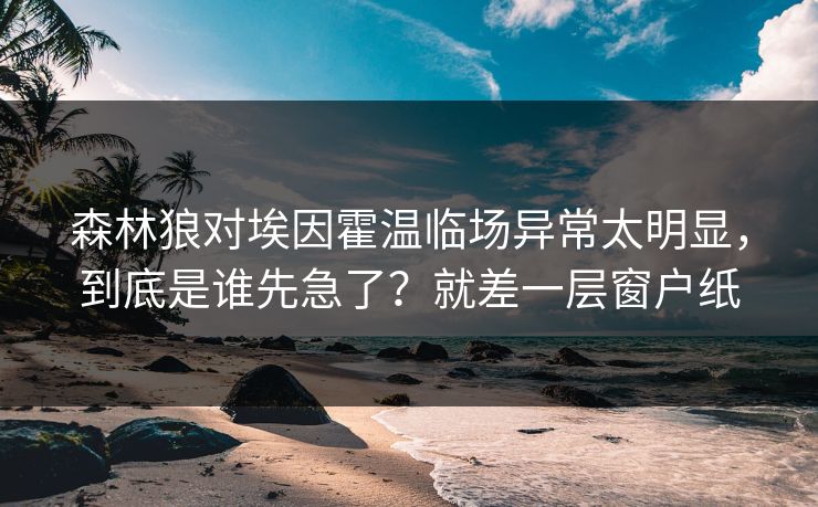 森林狼对埃因霍温临场异常太明显，到底是谁先急了？就差一层窗户纸